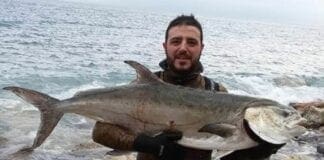 Pescata una leccia da 20 kg davanti a Capo Noli leccia pescasub capo noli