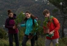 Nuovi alberi piantati dai volontari sul monte Moro, è il Thousand Trees Project volontari thousand trees project