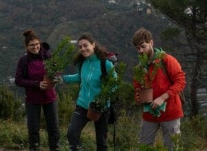 volontari thousand trees project