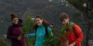 Nuovi alberi piantati dai volontari sul monte Moro, è il Thousand Trees Project volontari thousand trees project
