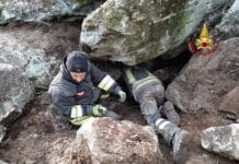 Vigili del Fuoco salvano cane da caccia a Tiglieto vigili del fuoco salvano cane