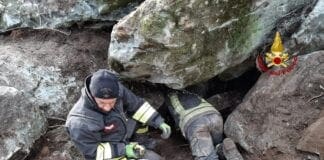 Vigili del Fuoco salvano cane da caccia a Tiglieto vigili del fuoco salvano cane