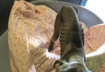 Lasciati al freddo senza cibo né acqua, OIPA salva due cani: denunciati i padroni