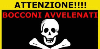 Pietra Ligure, gatta muore per boccone avvelenato. E’ allarme