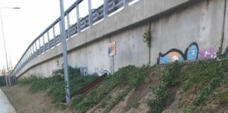 Giardino Lineare di Cornigliano – Inaugurato e poi abbandonato? giardino lineare cornigliano