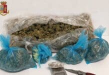 Genova, spaccio in salita Pollaioli, fermato un 21enne