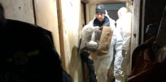 Genova – Accumulatrice seriale nascondeva 19 animali nel suo appartamento – VIDEO sequestro oipa animali accumulatore seriale