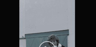 Coronavirus – Maurizio Lastrico improvvisa uno spettacolo in coda al supermercato – VIDEO