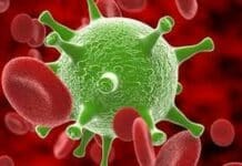 Coronavirus – Altri quattro decessi all’ospedale Galliera coronavirus microscopio