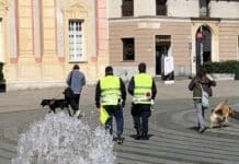 Coronavirus – Raduni al distributore automatico e birre sulle panchine: ancora denunciati vigili, polizia locale, controlli