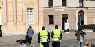 Coronavirus – Misure anti contenimento: sorpresi in pizzeria, multati in quattro vigili, polizia locale, controlli
