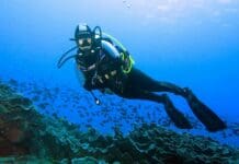 Santa Margherita Ligure, malore per due subacquei dopo immersione sub subacqueo cressi sub