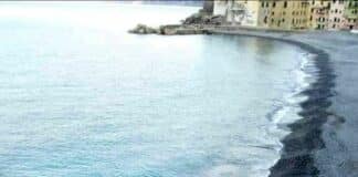 Camogli, morto tra atroci sofferenze il capriolo che passeggiava sulla spiaggia capriolo spiaggia Camogli