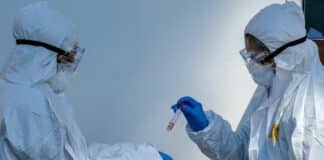 Coronavirus – 141 nuovi positivi, 91 sono nello spezzino coronavirus provetta