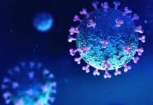 Coronavirus – L’indice Rt in Liguria appena sopra 1. Sempre più diffusa la variante inglese coronavirus virus