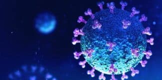 Coronavirus – Trovata paziente di 25 anni con variante sudafricana al San Martino coronavirus virus