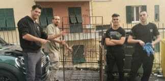 Cinghiale ferito da freccia a Quezzi, raccolti i fondi per catturarlo e rimuovere la freccia gabbia cinghiale quezzi