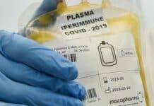 Coronavirus – La Liguria si prepara alla cura con il plasma ma serve più sperimentazione plasma iperimmune