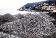 Spiaggia di Voltri, i lavori di ripascimento conclusi entro una settimana voltri spiaggia pietrisco ripasciemento