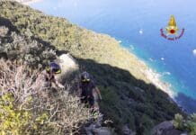 Cagnoglino scivola e finisce sul precipizio, salvato dai Vigili del Fuoco