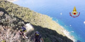 Cagnoglino scivola e finisce sul precipizio, salvato dai Vigili del Fuoco