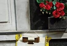 Uno sciame di api nel Cimitero di Rivarolo api cimitero rivarolo
