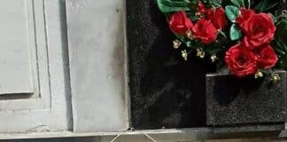 Uno sciame di api nel Cimitero di Rivarolo api cimitero rivarolo