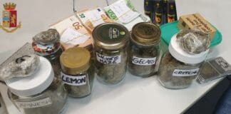 Sestri Ponente, supermarket della marijuana in casa: arrestato 24enne