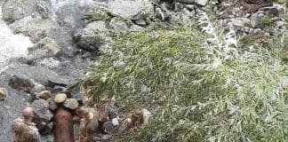 Bomba inesplosa a Campo Ligure, dalle 9.30 Liguria isolata a nord bomba inesplosa campo Ligure