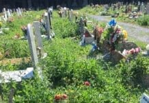 Cimiteri, Comune di Genova stanzia 1 milione e 200mila euro per interventi urgenti cimitero staglieno erbacce