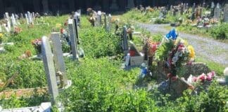 Tomba profanata in un cimitero a Cremeno, caccia al maniaco cimitero staglieno erbacce