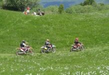 Parco del Monte Antola, dopo le moto anche il parcheggio per auto tra i narcisi moto parco Antola