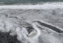 Spiagge Libere – A Genova i segnaposto di plastica sono finiti in mare sacchi plastica protezione civile