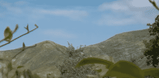 Pedestribus, 8 itinerari per scoprire la Genova a due passi da casa