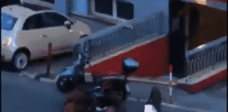 San Fruttuoso – Cinghiali rubano la pizza al fattorino – VIDEO cinghiali rubano pizze