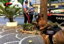 Albenga, contrasto al racket della droga: arrestate 4 persone