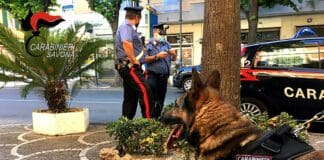 Albenga, contrasto al racket della droga: arrestate 4 persone