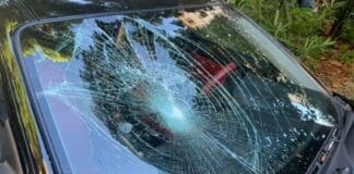 San Fruttuoso – Vandali in azione in piazza Giusti, danneggiate auto in sosta