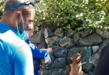 Droga nella Villetta Di Negro, arriva il cane poliziotto e la scopre cane antidroga Maqui