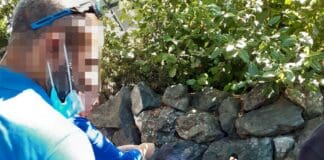 Droga nella Villetta Di Negro, arriva il cane poliziotto e la scopre cane antidroga Maqui