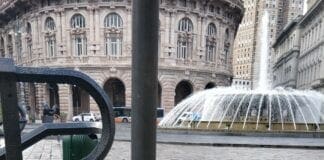 Centro Storico – Esce per topi aperte, l’allarme dei veterinari: “Mortali per cani e gatti” trappole topi aperte centro storico