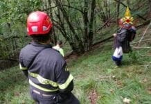 Sassello, cani molecolari trovano l’uomo scomparso da due giorni vigili fuoco disperso cercafunghi boschi