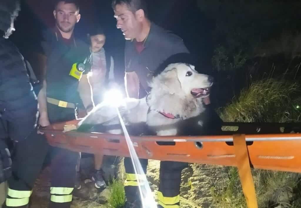 cane soccorso monte Rama