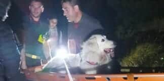 Vigili del Fuoco soccorrono cane sul Monte Rama a Sciarborasca cane soccorso monte Rama