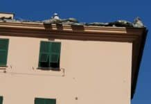 Tromba d’aria a San Martino, danneggiato il tetto di un palazzo tetto danneggiato via Vernazza