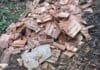 Uscio, discariche e rifiuti abbandonati, scattano i controlli discarica bosco Cengio