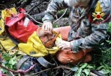 Cane da caccia cade in un crepaccio, salvato dai vigili del Fuoco cane salvato a Rocchetta