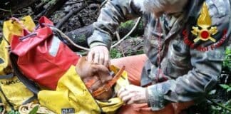 Cane da caccia cade in un crepaccio, salvato dai vigili del Fuoco cane salvato a Rocchetta