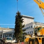 albero Natale De Ferrari