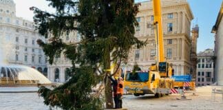 In piazza De Ferrari arriva l’abete natalizio donato dal Parco della Val d’Aveto